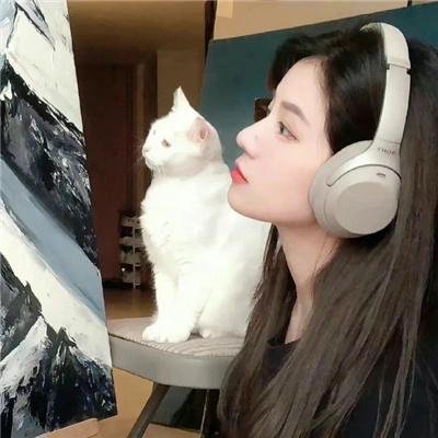 虎影